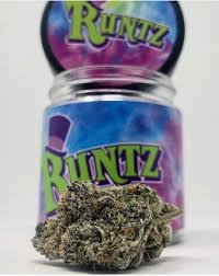 gruntz strain